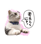 なめちまるスタンプ（個別スタンプ：15）