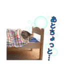 なめちまるスタンプ（個別スタンプ：24）