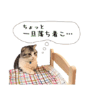 なめちまるスタンプ（個別スタンプ：26）