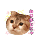 なめちまるスタンプ（個別スタンプ：31）