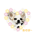 斬新スタンプ（個別スタンプ：2）