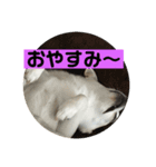 斬新スタンプ（個別スタンプ：4）
