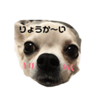 斬新スタンプ（個別スタンプ：8）