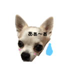 斬新スタンプ（個別スタンプ：11）