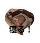 一凛その3（個別スタンプ：27）