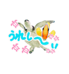 沖縄の海ガメとクマノミ達（個別スタンプ：3）