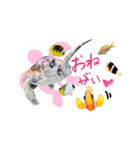 沖縄の海ガメとクマノミ達（個別スタンプ：8）