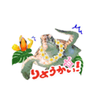 沖縄の海ガメとクマノミ達（個別スタンプ：10）