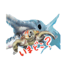 沖縄の海ガメとクマノミ達（個別スタンプ：22）