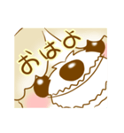 ベラ・ザ・シーズー（個別スタンプ：2）