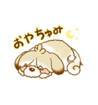 ベラ・ザ・シーズー（個別スタンプ：3）