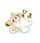 ベラ・ザ・シーズー（個別スタンプ：7）