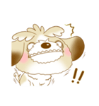 ベラ・ザ・シーズー（個別スタンプ：8）