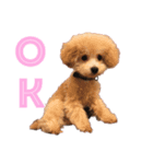 しょこえま（個別スタンプ：5）