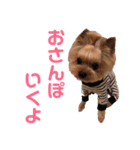 しょこえま（個別スタンプ：7）