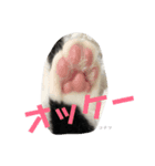こてつくんだよ2（個別スタンプ：4）