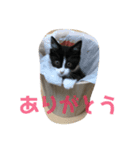 こてつくんだよ2（個別スタンプ：6）