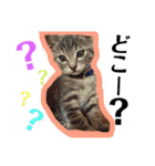 ゆにちゃんスタンプ（個別スタンプ：11）