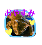 ゆにちゃんスタンプ（個別スタンプ：12）