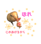 まいにち コザクラインコ（個別スタンプ：9）