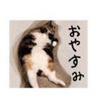 にゃーことちゃこ（個別スタンプ：4）