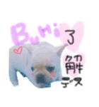 ふれんちぶるどっぐのpua3‪‪❤︎‬（個別スタンプ：8）