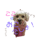 coco family 2（個別スタンプ：5）