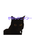 くろねこのマルク（個別スタンプ：2）