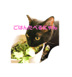 くろねこのマルク（個別スタンプ：4）