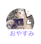 アイラビュ（個別スタンプ：4）
