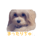 アイラビュ（個別スタンプ：6）