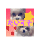 アイラビュ（個別スタンプ：8）