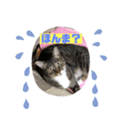 関西弁！みる姐さんの日常スタンプ（個別スタンプ：1）