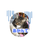 関西弁！みる姐さんの日常スタンプ（個別スタンプ：2）