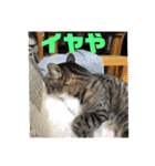 関西弁！みる姐さんの日常スタンプ（個別スタンプ：11）