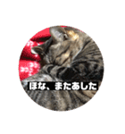 関西弁！みる姐さんの日常スタンプ（個別スタンプ：12）