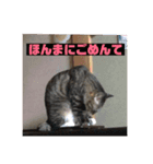 関西弁！みる姐さんの日常スタンプ（個別スタンプ：13）