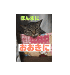 関西弁！みる姐さんの日常スタンプ（個別スタンプ：14）