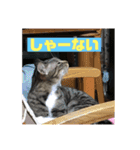 関西弁！みる姐さんの日常スタンプ（個別スタンプ：16）