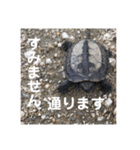 至極のスタンプ2（個別スタンプ：5）
