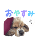ろこスタンプ①（個別スタンプ：5）