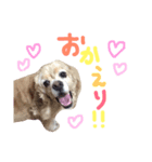 ろこスタンプ①（個別スタンプ：6）