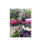 花 一月（個別スタンプ：5）