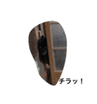 ポメラニアンのぽんすけです（個別スタンプ：38）