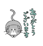 猫の友社 スタンプ01（個別スタンプ：1）