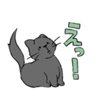 猫の友社 スタンプ01（個別スタンプ：6）
