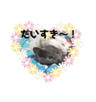 にゃんこ大集合！！（個別スタンプ：18）