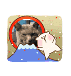 にゃんこ大集合！！（個別スタンプ：19）