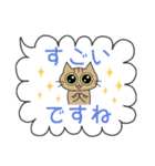 ねこちゃんのふきだしスタンプ（敬語入り）（個別スタンプ：17）