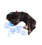 くりすたんぷ(1)（個別スタンプ：2）